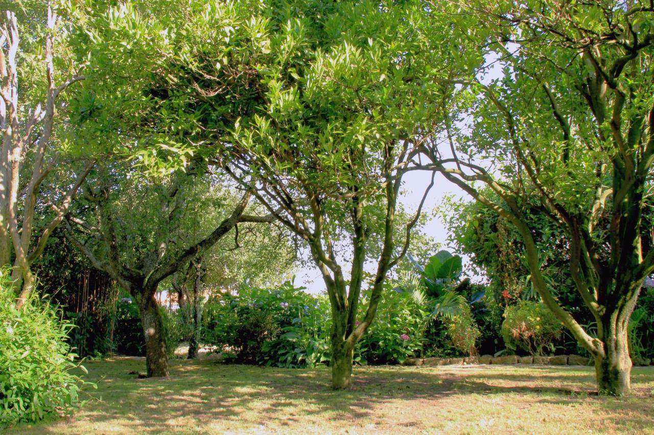 Casa 3 Aguias Bed & Breakfast Aveiro Ngoại thất bức ảnh
