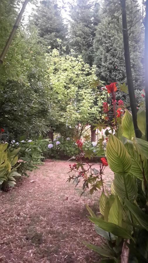 Casa 3 Aguias Bed & Breakfast Aveiro Ngoại thất bức ảnh